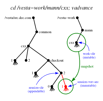 vadvance figure